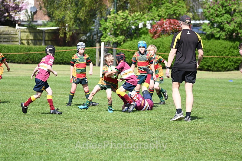  - Selby Rugby Festival 2025