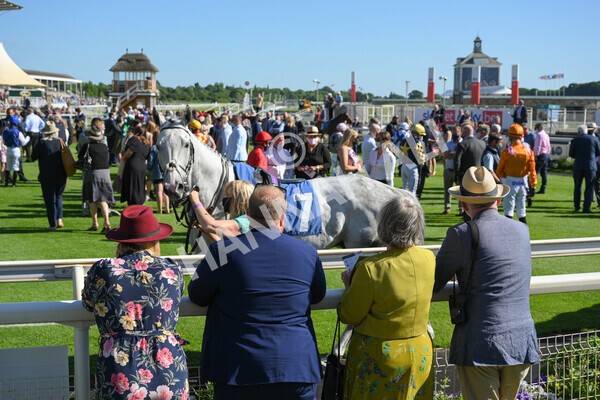 yr12062021r7-8 - Race 7 5.25pm Sky Bet Stakes