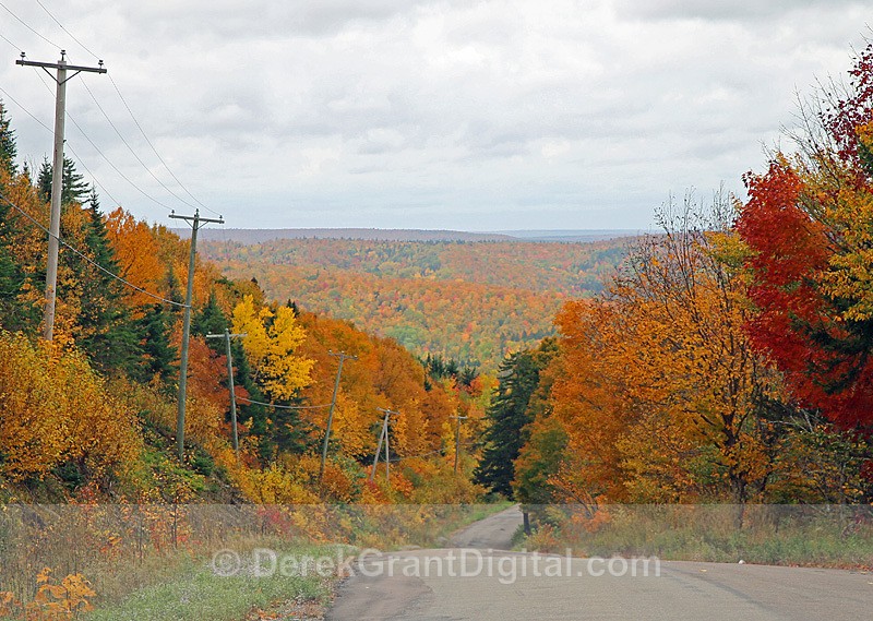Country Road in Autumn New Brunswick Canada