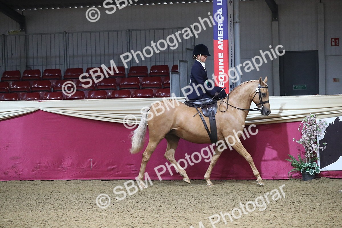 SBM_09381 - Class 101 Equitation (best rider), Junior