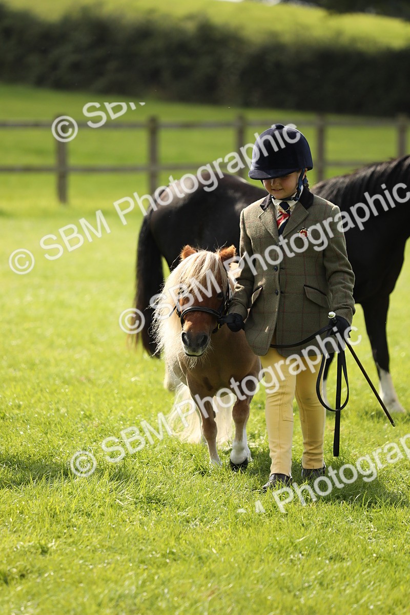 SBM_67836 - S39 - Junior Handler 8  Years & Under