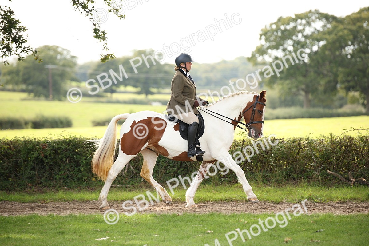 SBM_70371 - S66 - Hunter Ridden