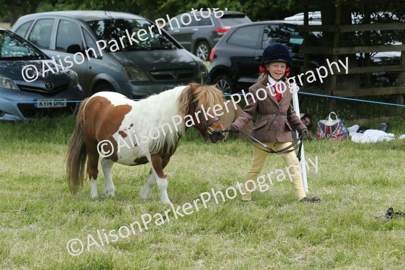20260614-4264 - Class 18 - Best Junior Handler