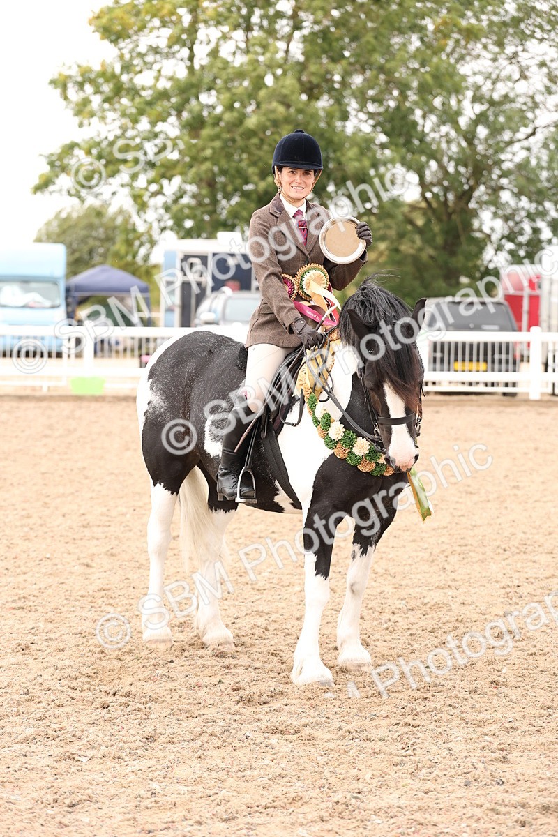 SBM_19730 - Class 216 - Ridden Traditional - Native Cob