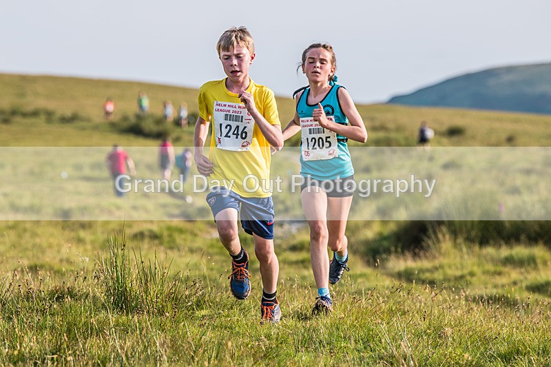 Tebay-265 - Tebay Fell Race Wednesday 26th June 2024