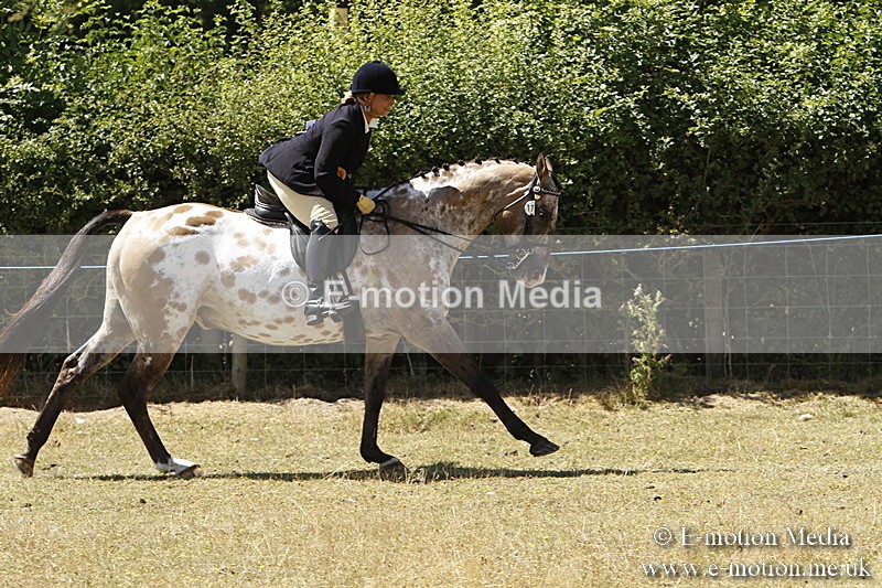 _BS_0885 - BVRC Show 2018 Ring 1