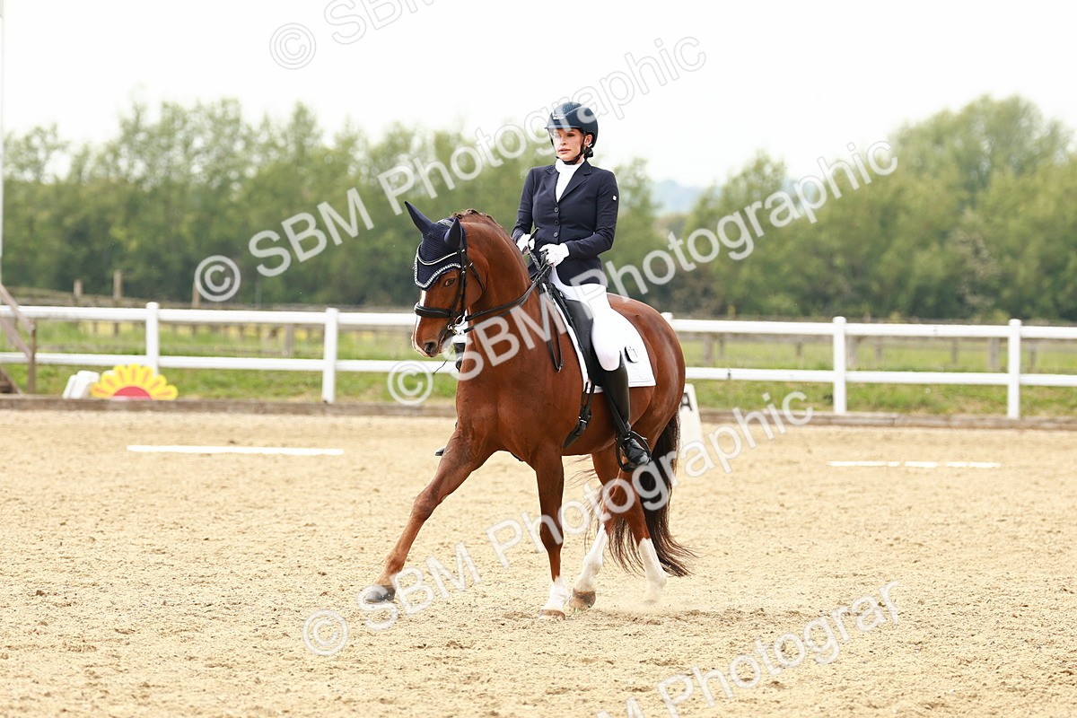 SBM_002742 - Class 12 - Medium 4