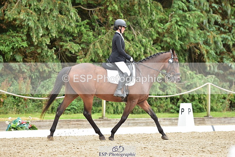 250719A-142900-06264 - 010-Julie.Wheeler-Be.My.Scout