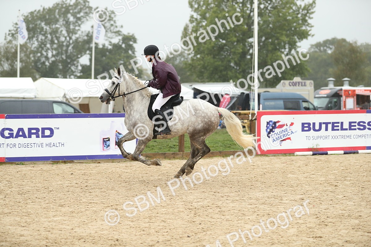 SBM_74161 - J16 - Junior Pony 75cm Championship