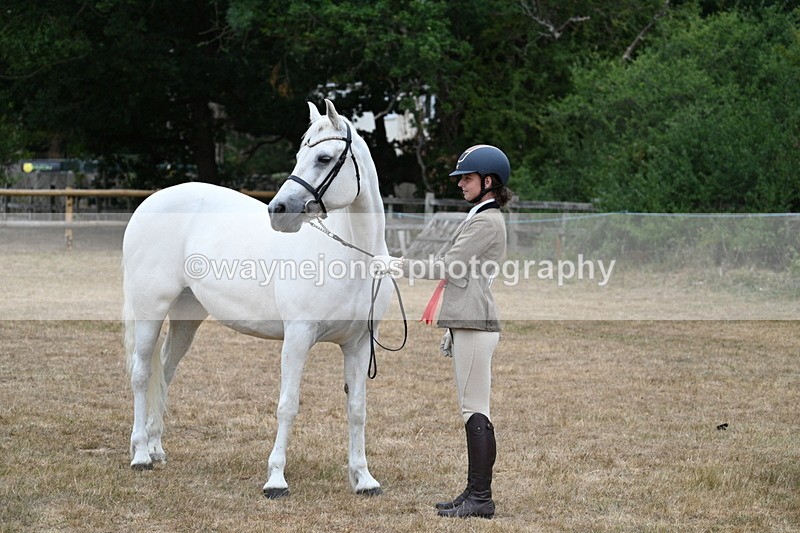 WJ7_9339 - Prettiest Mare Champs