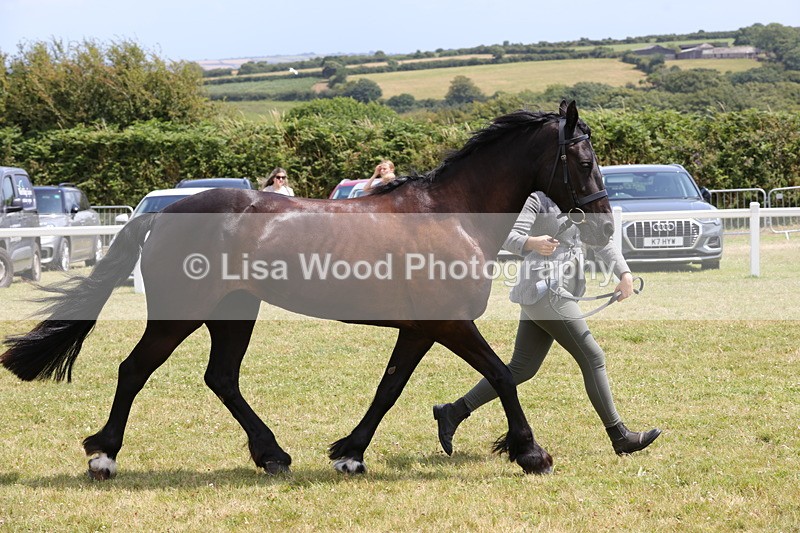 1X9A4862 - Class 35: Veteran In Hand