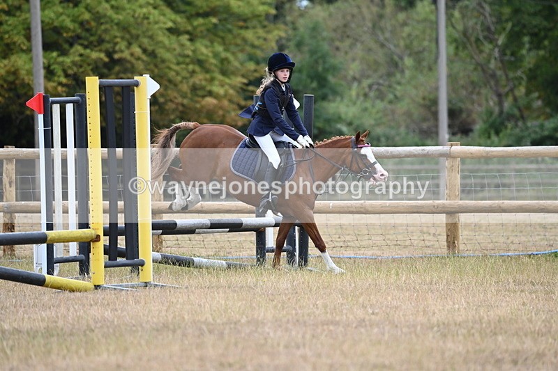 WJ6_0321 - Class 13 Novice Jumping 60cm