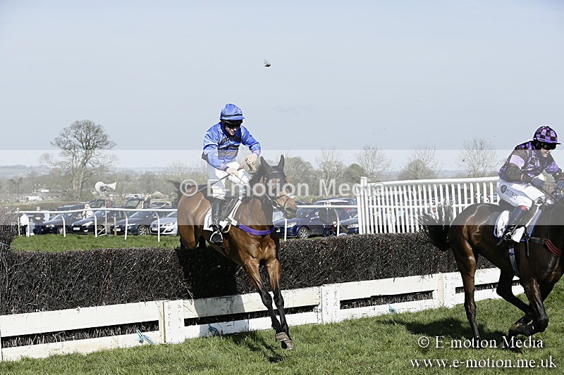 PtP 260317 219 - Mendip Farmers Point-to-Point Ston Easton 26/03/17