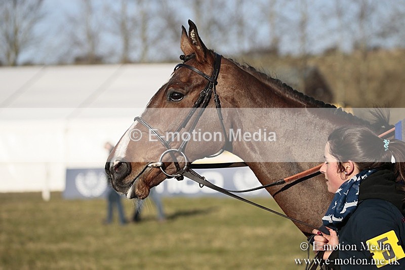 PtP 240218 639 - Vine & Craven Hunt Point-to-Point Barbury racecourse 24/02/18