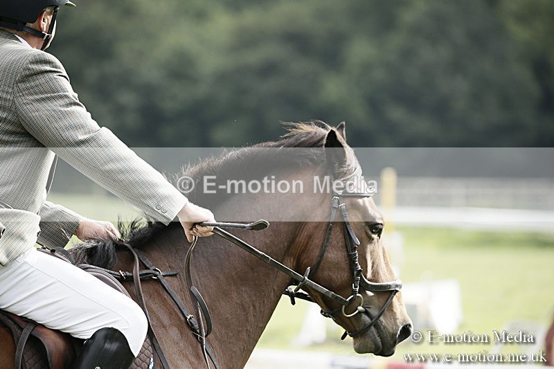BVR090918 347 - BVRC Dressage and Show Jumping 09/09/18