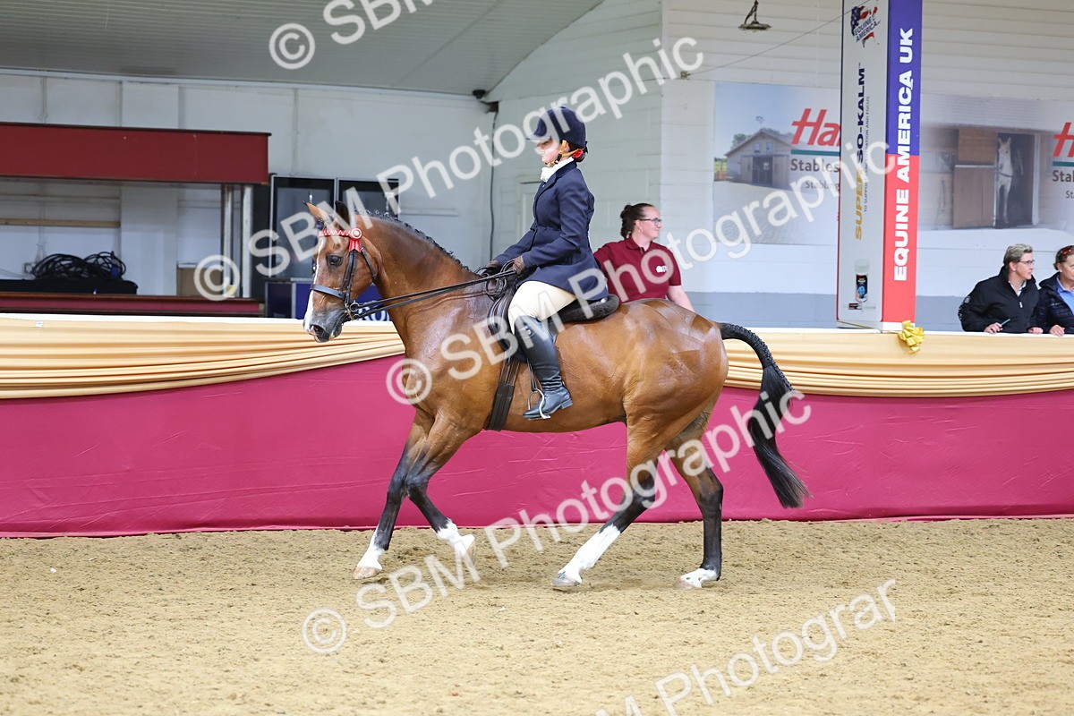 SBM_23712 - Class 904 - Supreme Final Ridden Diamond