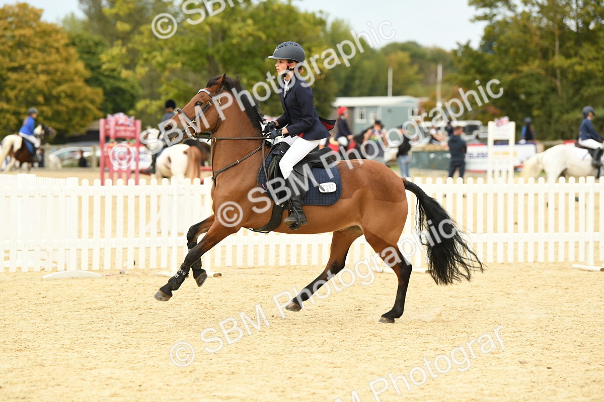 SBM_72930 - J16 - Junior Pony 75cm Championship