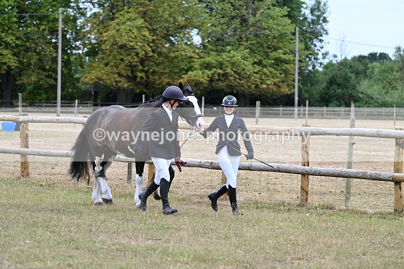 WJ7_8917 - Class 4a Prettiest Mare 14.2hh and over