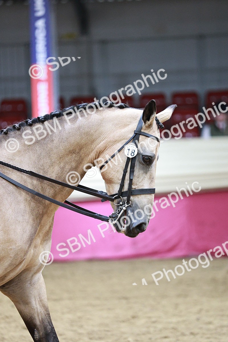 SBM_03434 - Class 6A Area Ridden Pre-Vet