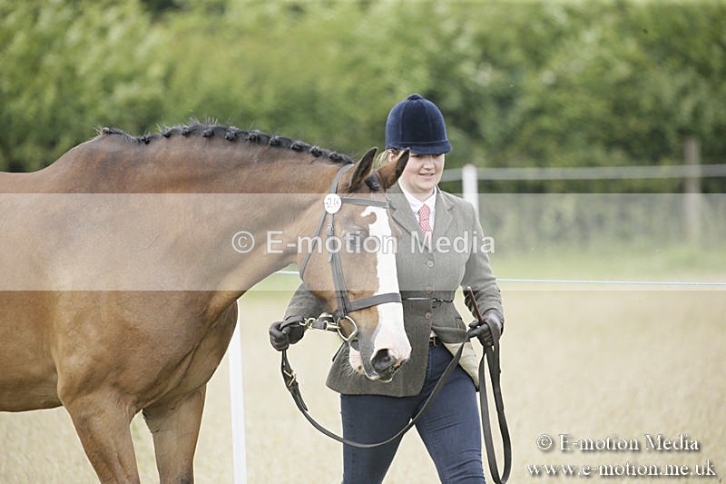 B230619-0478 - Bourne Valley Riding Club Summer Show 23/06/19