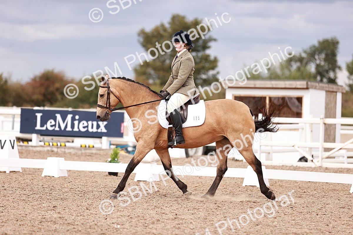 SBM_06328 - Class 37 - Novice 5