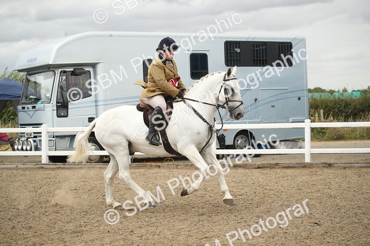 SBM_18483 - Class 510a - Working Veteran 90cm (15-19)