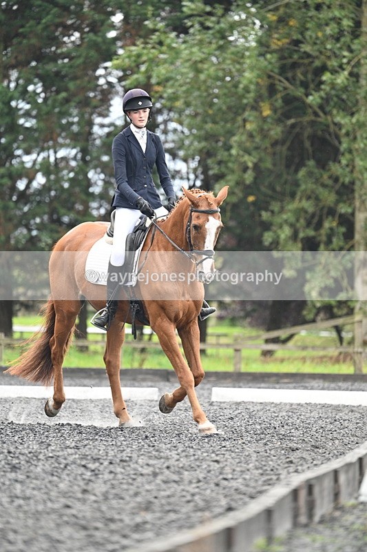 WJ7_6738 - Time 14:49 to 15:14