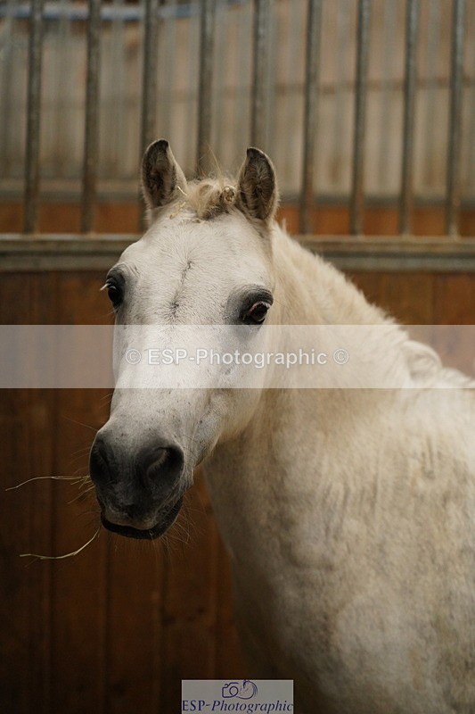 240809A-134810-01035 - Stable Shots