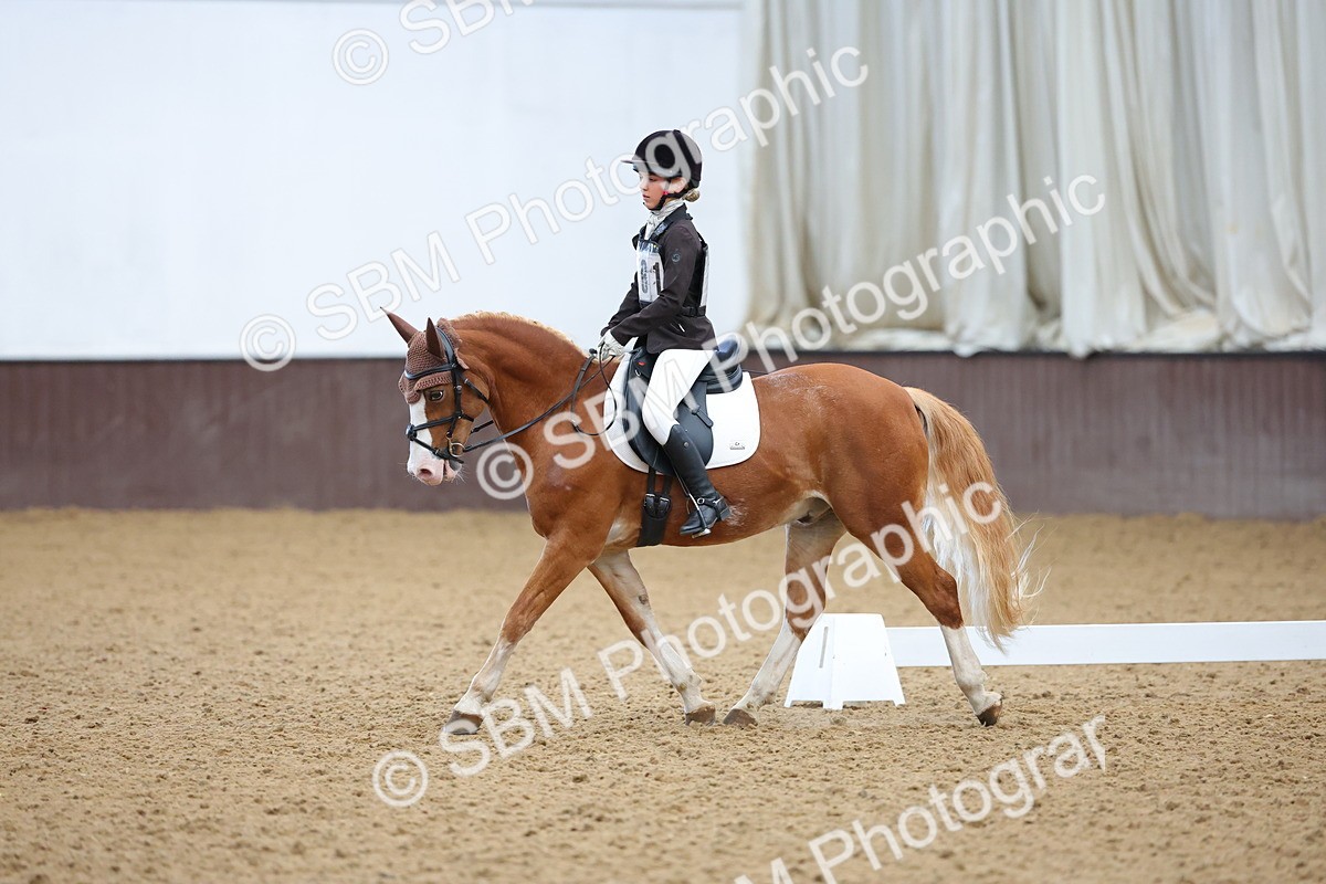 SBM_002959 - Novice