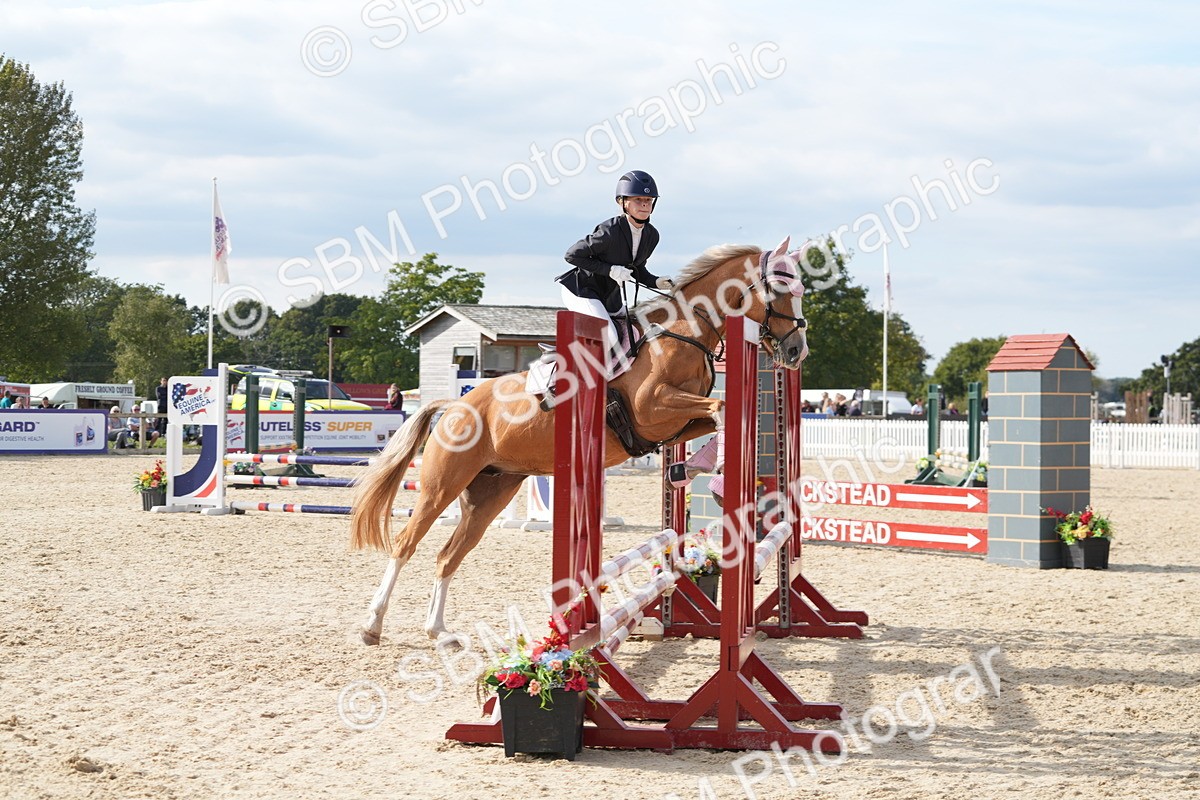 SBM_48845 - J22 - Junior Horse 65cm Championship
