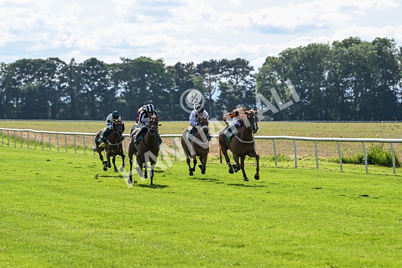 160624-Race 3-Mereside Diva-8504 - Race 3