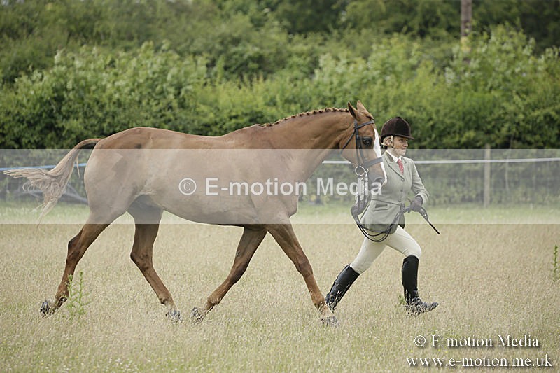 B230619-0768 - Bourne Valley Riding Club Summer Show 23/06/19