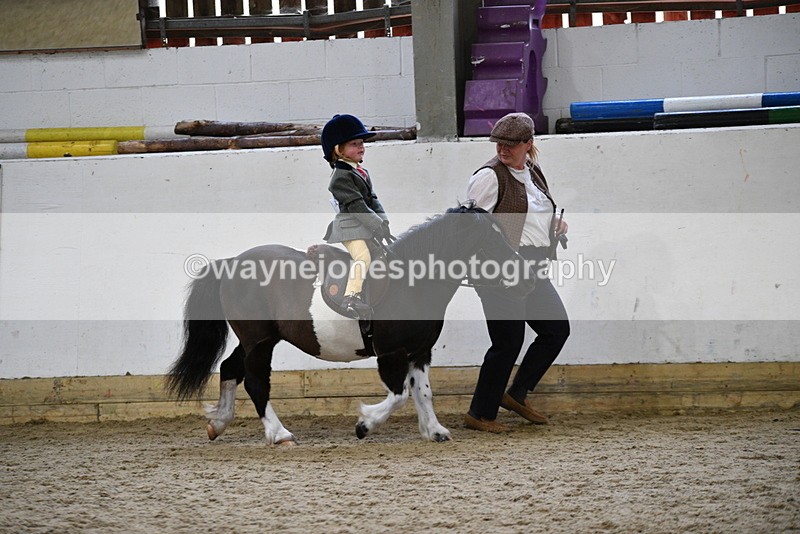 WJ5_6574 - Class 10 Childs Pony