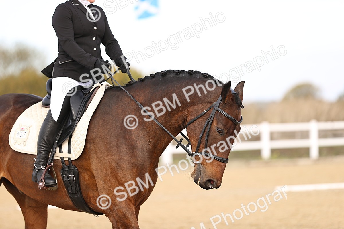 SBM_009557 - Class 2 - P5
