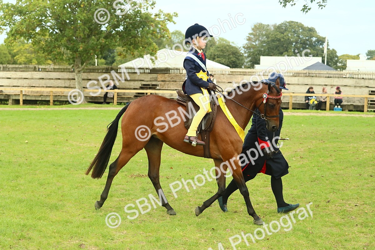 SBM_75227 - Super Supreme Championship