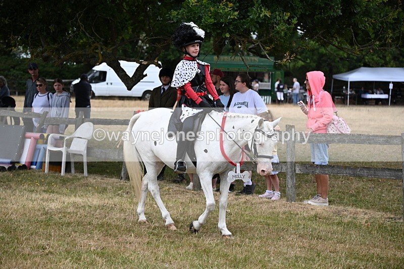 WJ6_4617 - Class 11 Fancy Dress