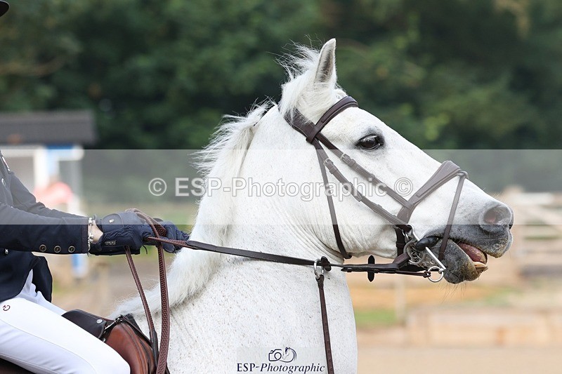 230617-080835-00068 - Cls 08a Pony 1.05