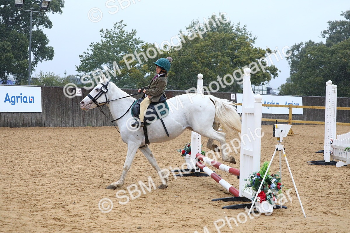 SBM_71468 - J4 - Mini Tour Junior Pony 45cm Championship