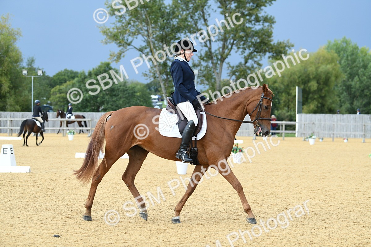 SBM_10991 - D28 Elementary Taster Elementary 42