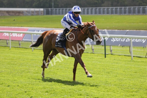 yr13052021r2-10 - Race 2 2.10pm Al Basti Equiworld Dubai Middleton Fillies' Stakes