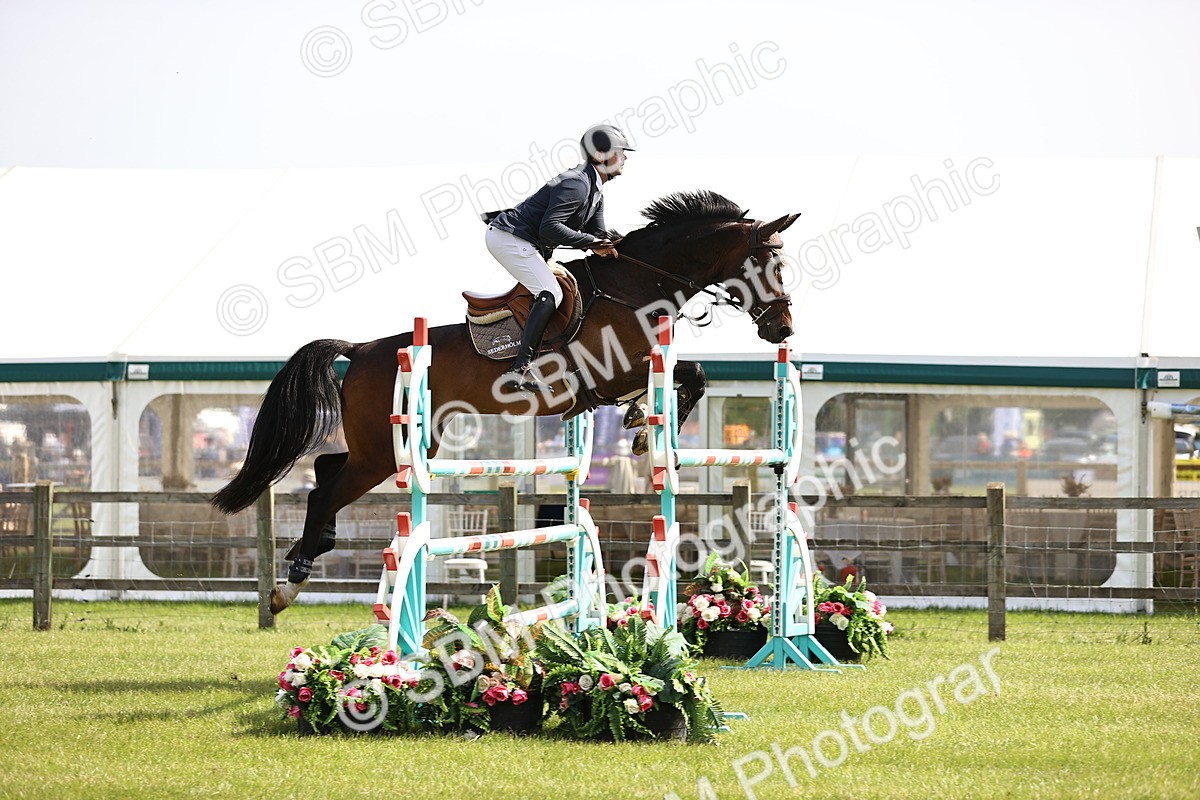 SBM_03016 - Class 201 - British Horse Feedds Speedi Beet HOYS Grade C