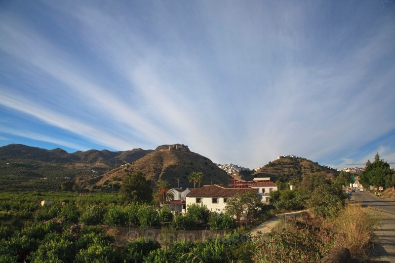 Alora - European Landscapes