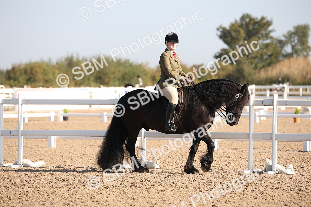 SBM_00604 - Class 14 Ridden M&M Wildcard