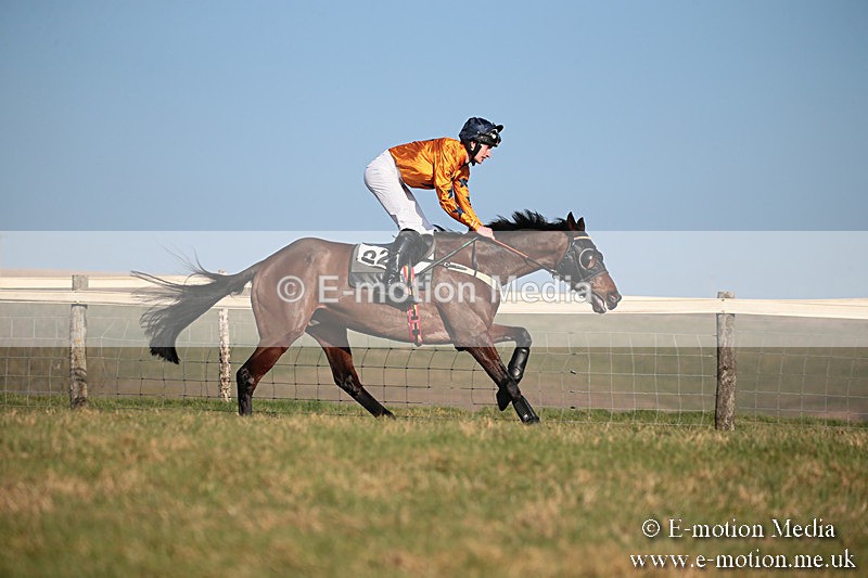 PtP 230219 389 - Vine & Craven Point-To-Point - Barbury 23/02/19