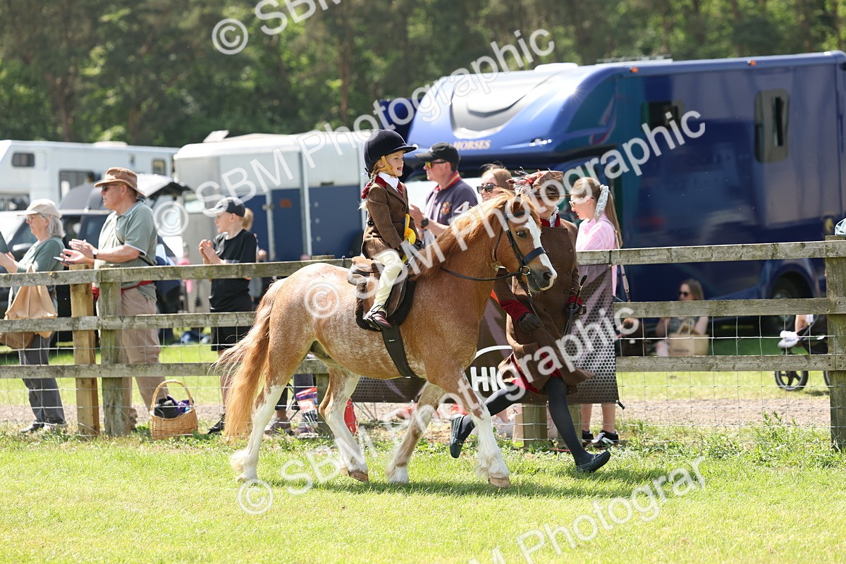 SBM_05304 - Class 24-25 - Mountain & Moorland In Hand Lead Rein and First Ridden