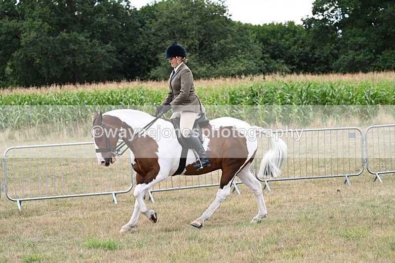 WJ7_5099 - Class 12 Ridden Cob