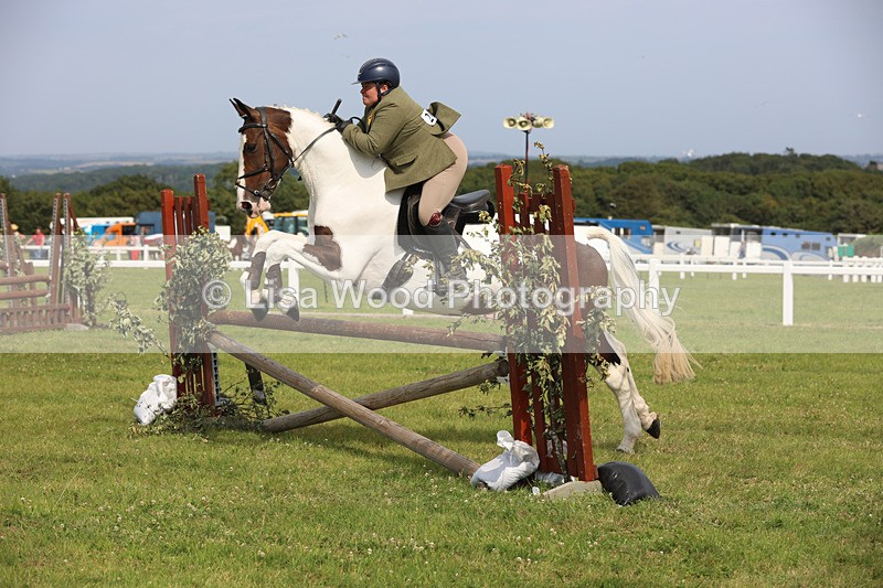 JPP_4047 - Class 24: Working Hunter 90cm
