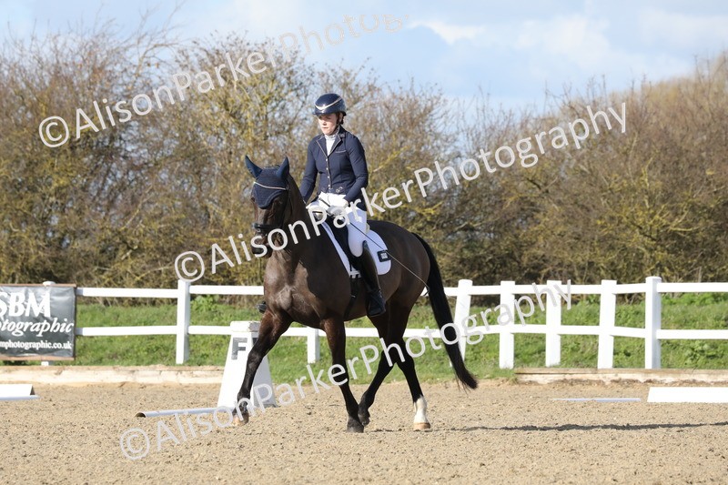 20260314-5045 - CT6 - Elementary 1