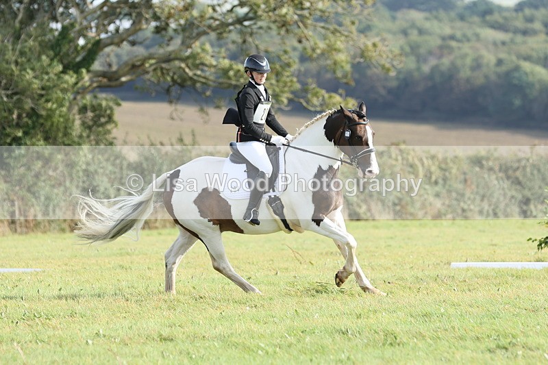 JPP_8138 - Class 2A: Trekenning Open: Dressage