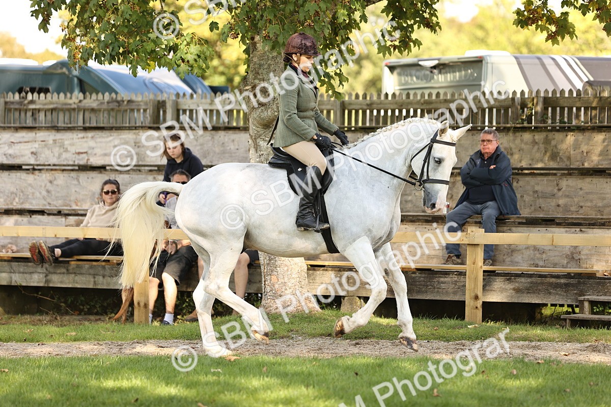 SBM_26418 - S6 - Novice & Newcomers Ridden Horse
